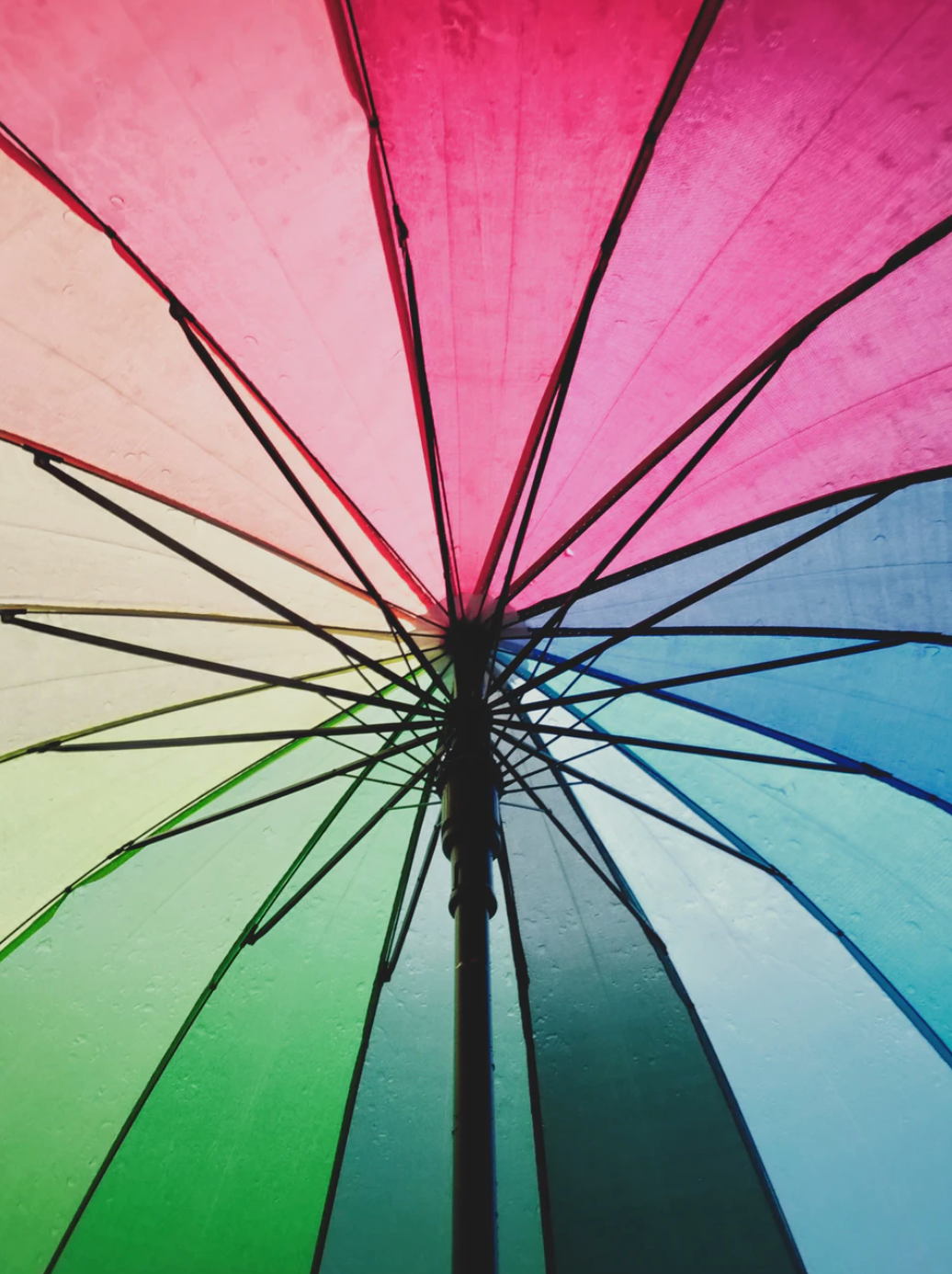 umbrella-ribs